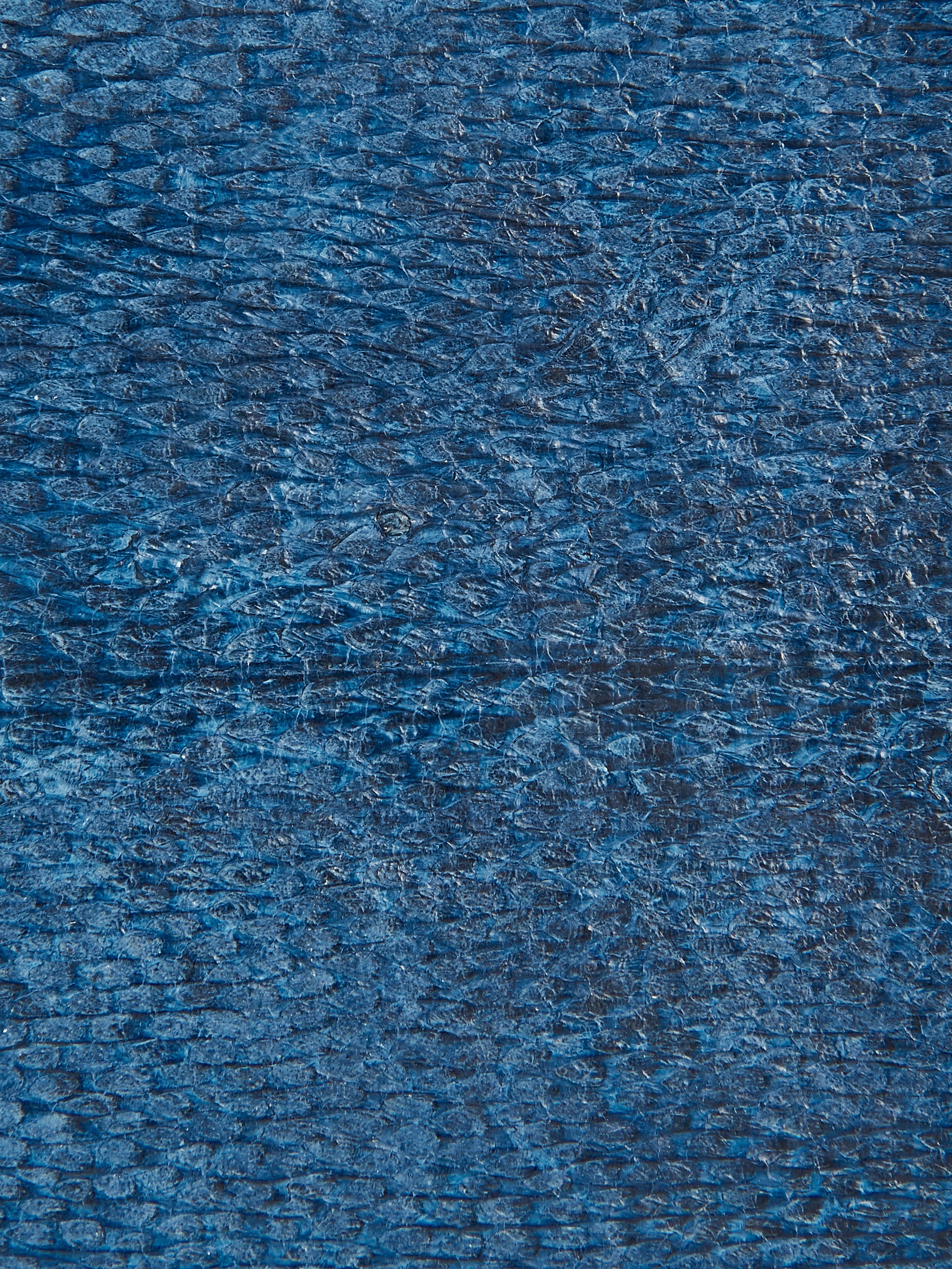 Naval Blue Zip Aquatic Card Case